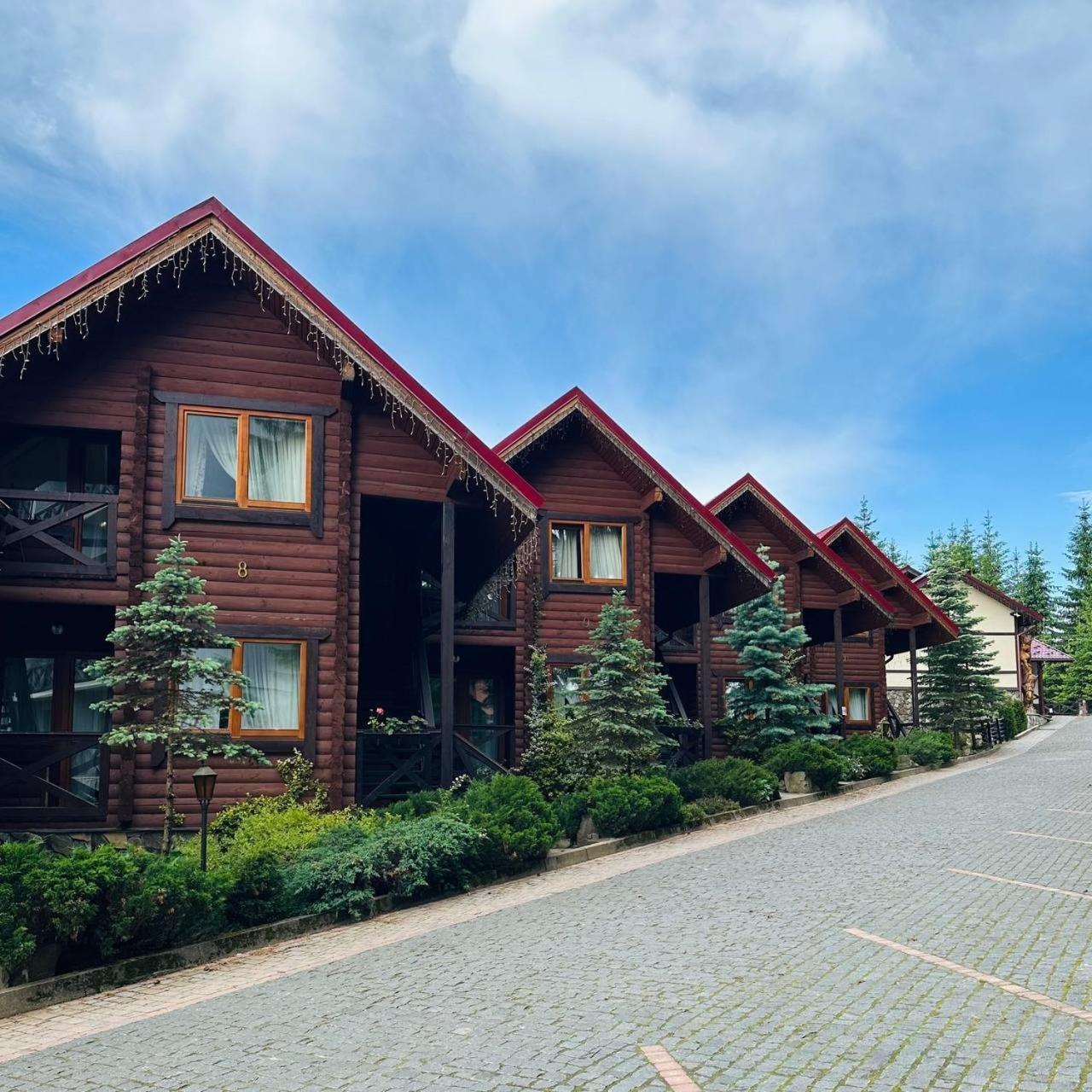 Отель Gorgany & 4*